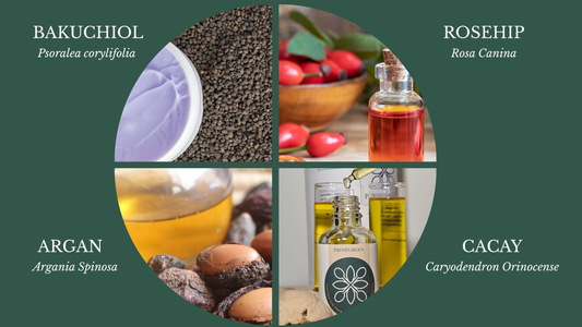 Beyond Bakuchiol: Cacay Oil for Anti-Aging and Skin Repair