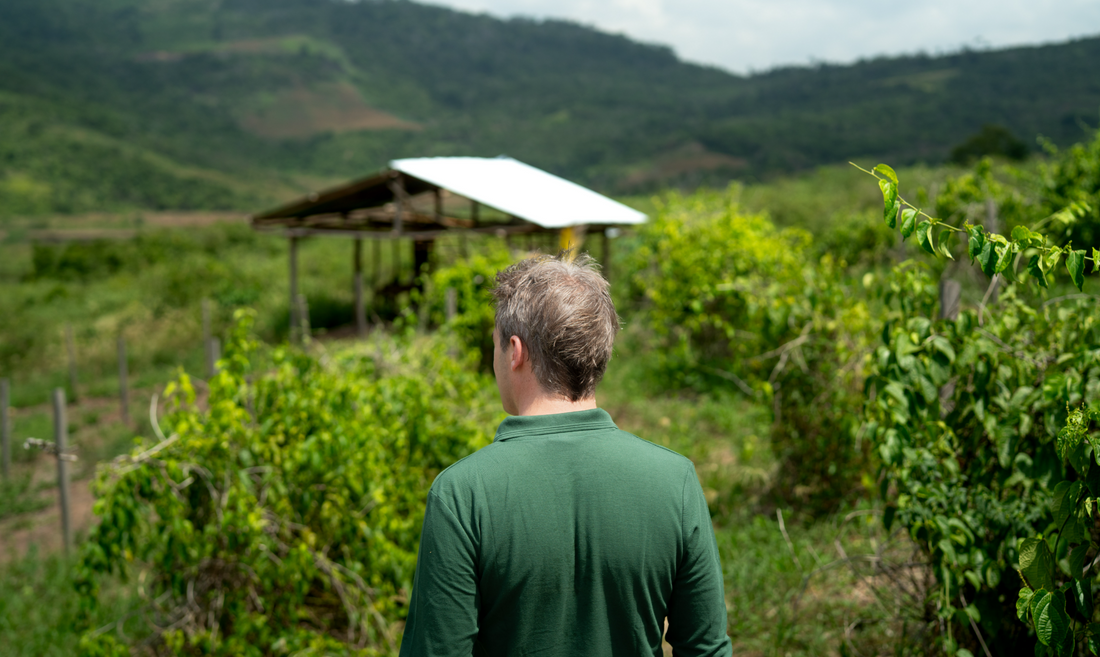 Seasonal Formulation: Adapting Your Products Year-Round with Primegreen Ingredients