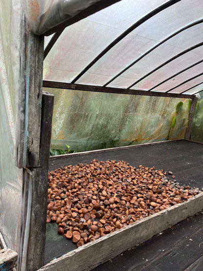 Andiroba oil