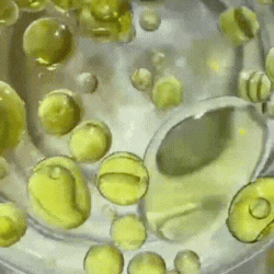 Cacay oil