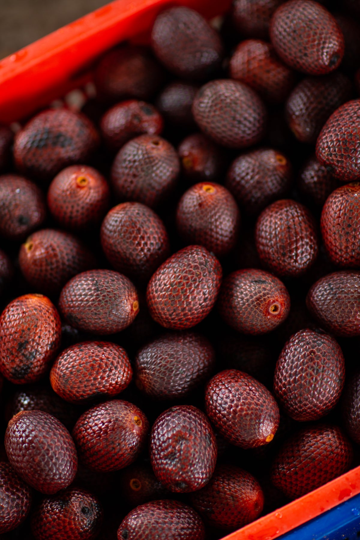 Buriti fruit at production partner Primegreen