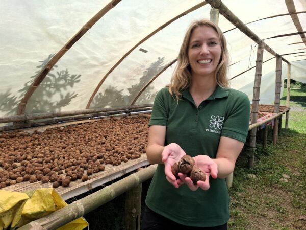 Primegreen visiting the producer of Cacay nuts