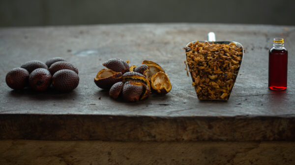 Buriti oil and shells