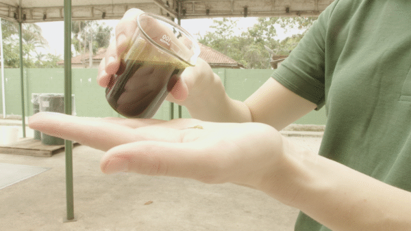 Açai oil