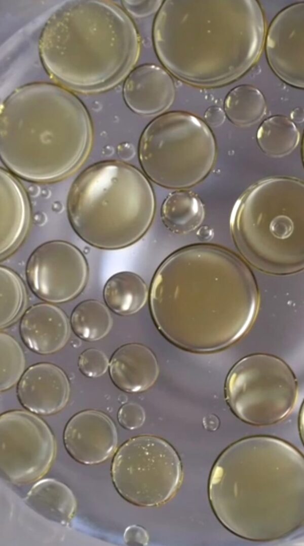 Drops of Sacha Inchi oil, a natural active for skincare. This is an ethically sourced natural cosmetic ingredients from Latin America producer.